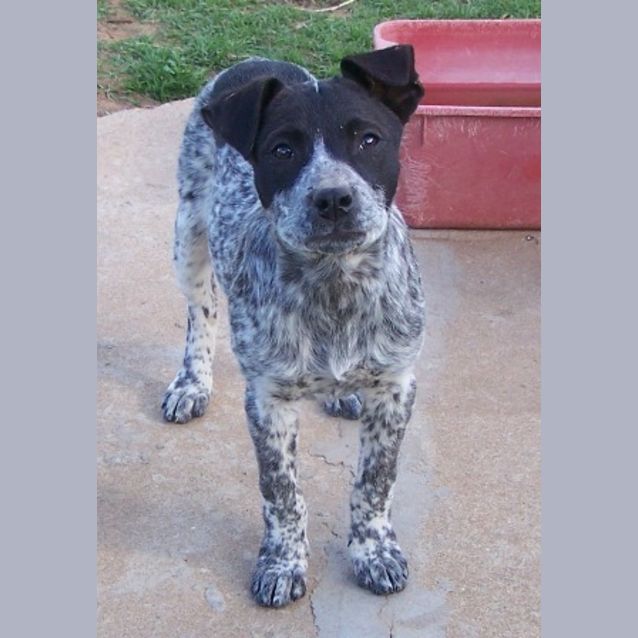 Photo of Maggie