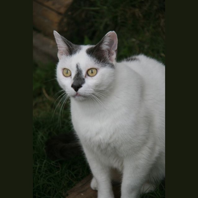 Photo of Max