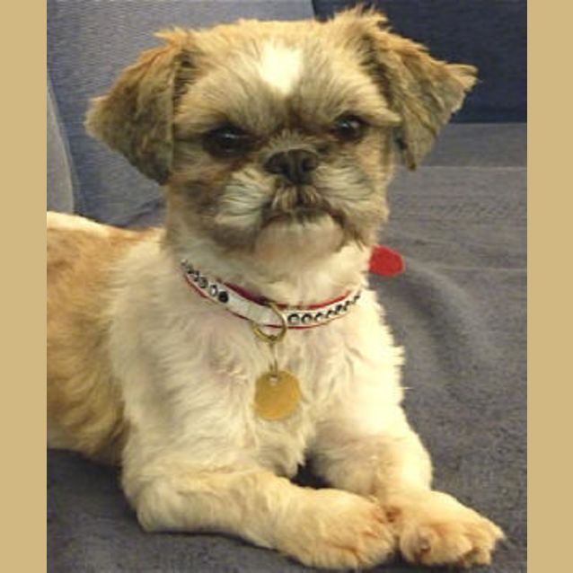 Photo of Nellie