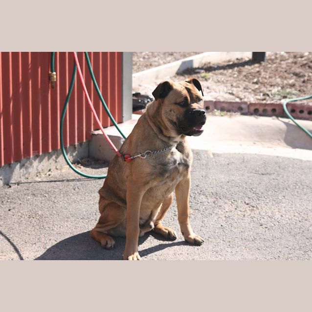 Photo of Finnigan