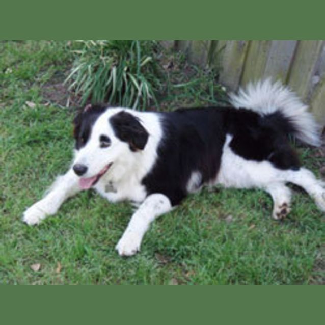 Photo of Zoe