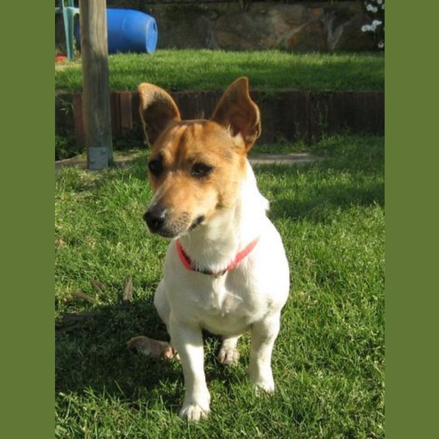 Photo of Lexie