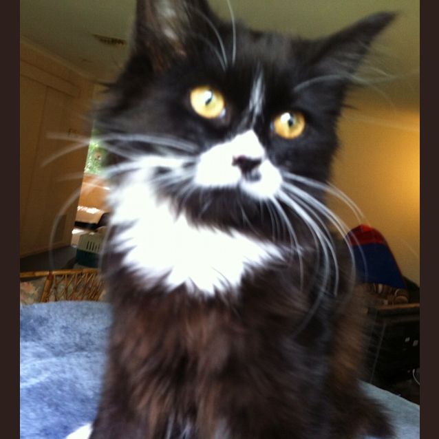 Photo of Pandora   On Trial In Her New Home!