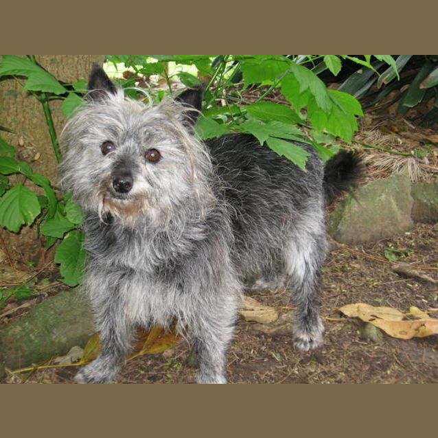 Photo of Gerald "Is Trialing A New Home"