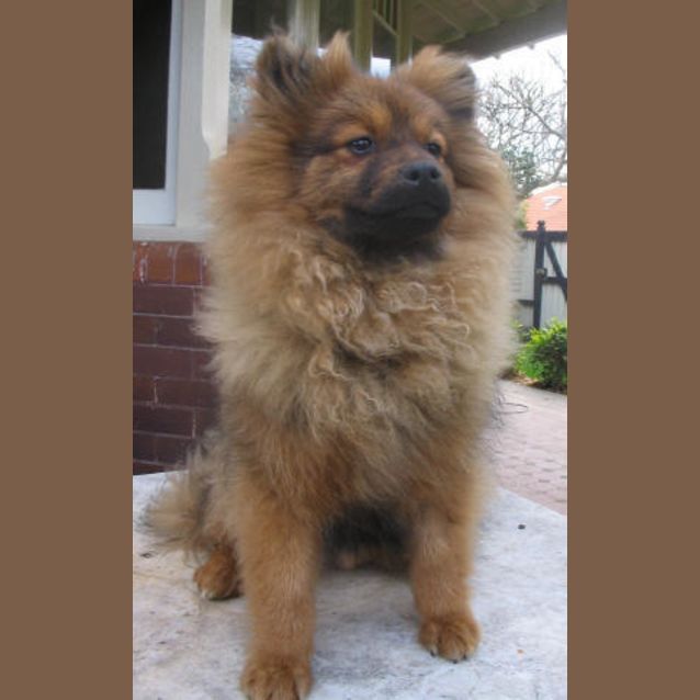 Photo of Keeki