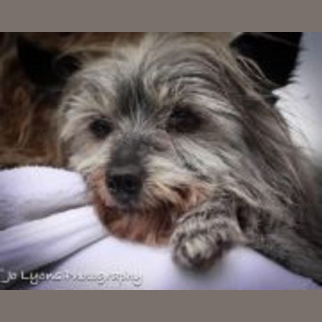 Photo of Gerald "Is Trialing A New Home"