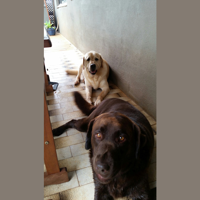 Photo of Cooper & Bundy