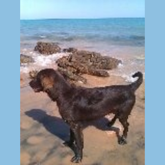 Photo of Bundee