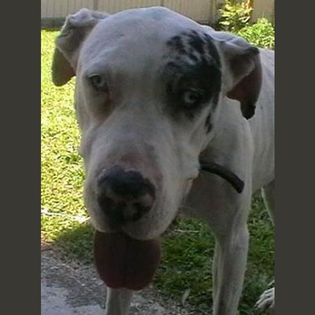 Photo of Lolly