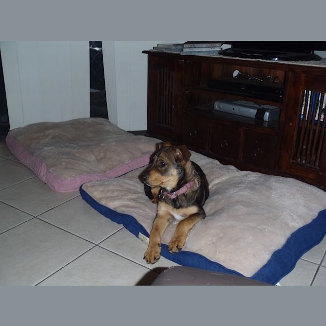 Photo of Bea Bea