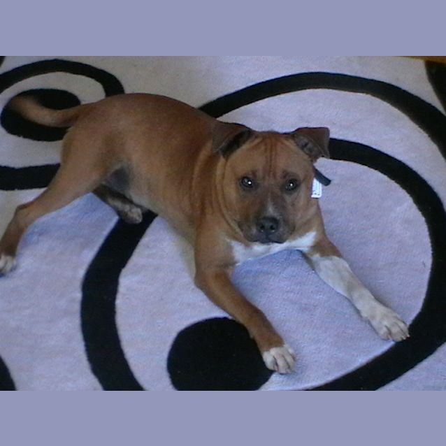 Photo of Cooper