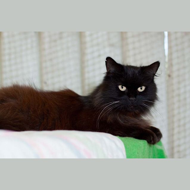 Photo of Maggie