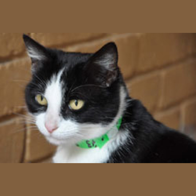 Photo of Maggie