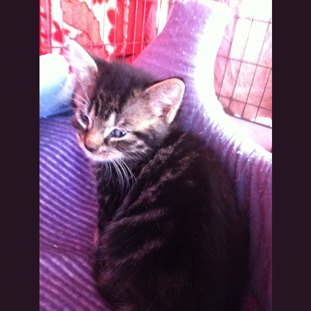 Photo of Boots