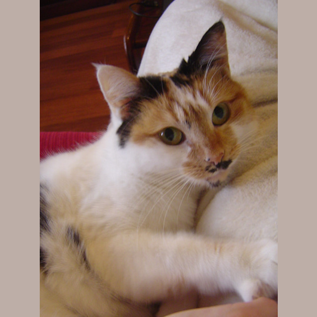 Photo of Macey