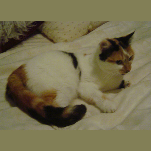 Photo of Macey