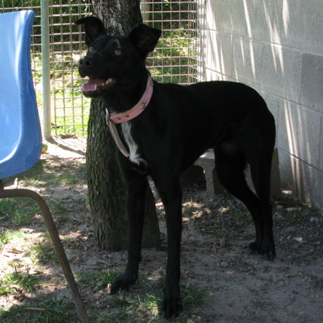 Photo of Willa