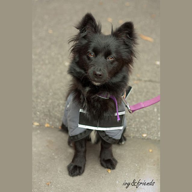 Photo of Murphy