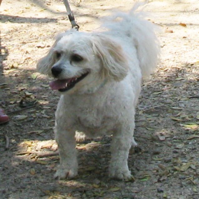 Photo of Sam