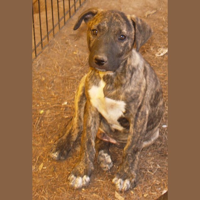 Photo of Arlo