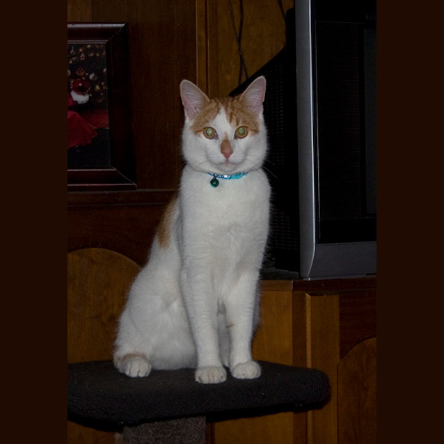 Photo of Artie
