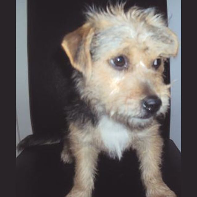 Photo of Sophie