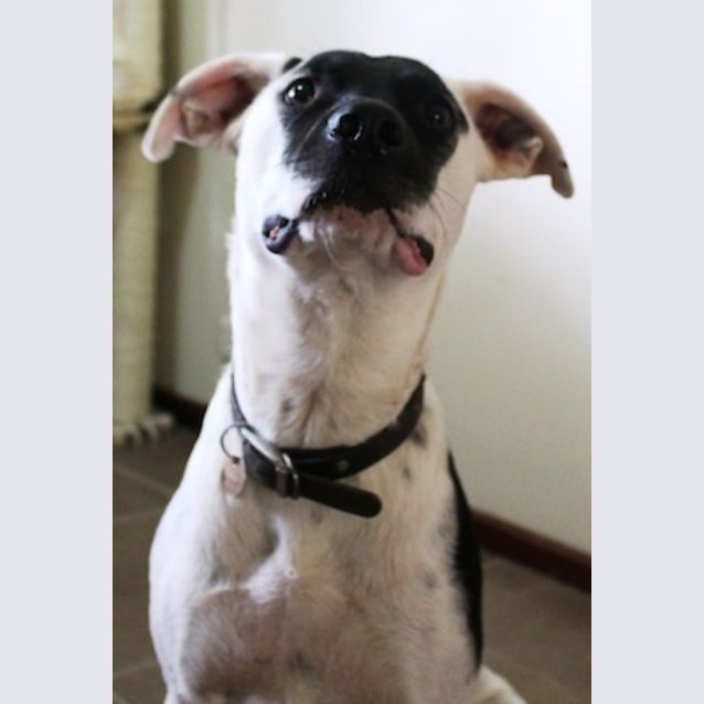 Photo of Sully(d1972)