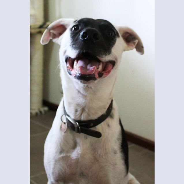 Photo of Sully(d1972)