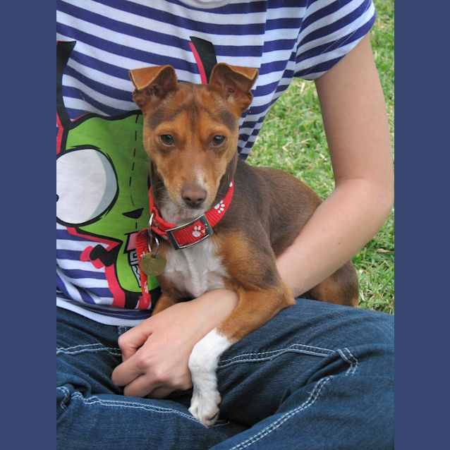 Photo of Roxy (On Trial)