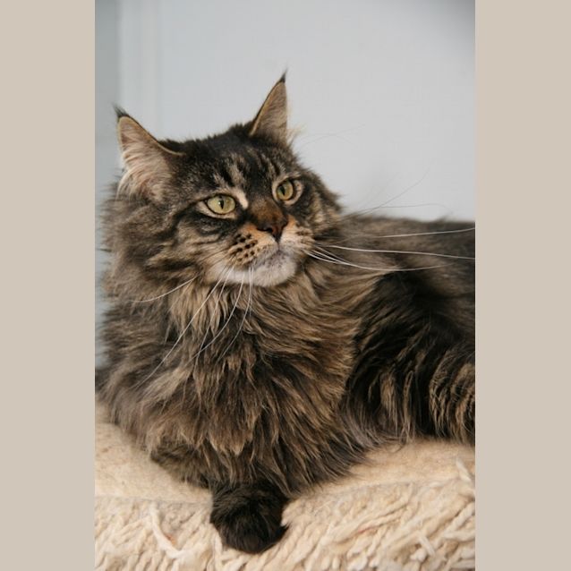 Photo of Angel