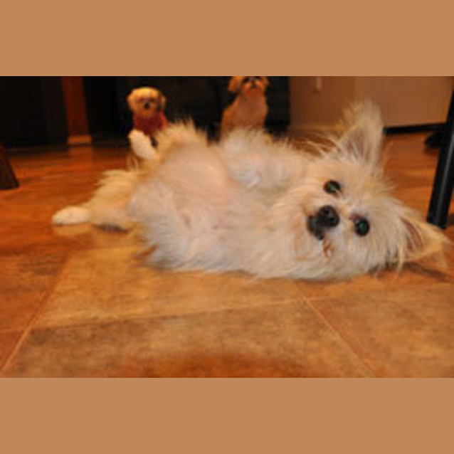 Photo of Maci