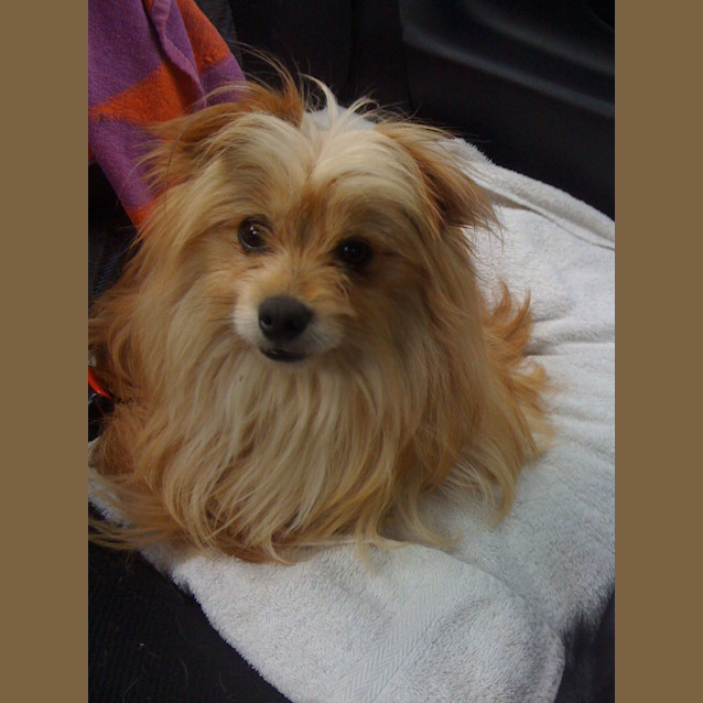 Photo of Spencer
