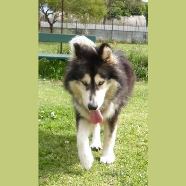 Photo of Ella Trialling New Home