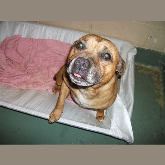 Photo of Storm