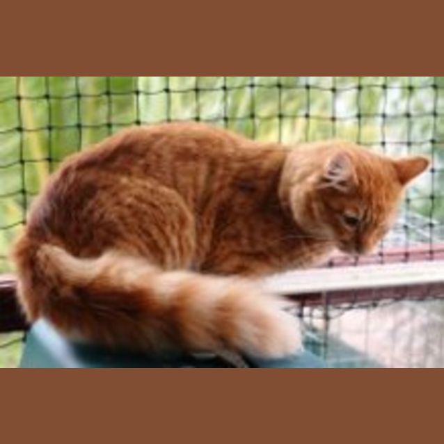 Photo of Hugo
