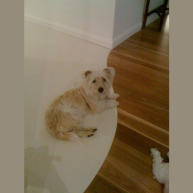 Photo of Sally