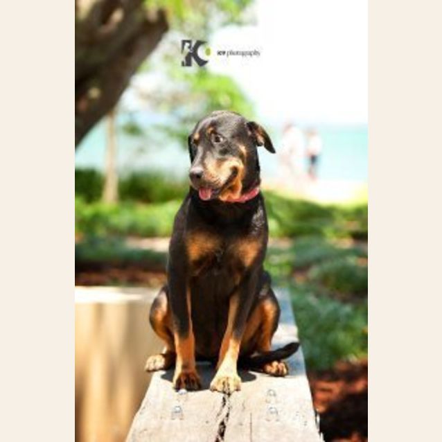 Photo of Buffy