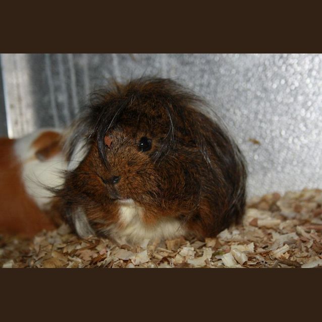 Photo of Jacob