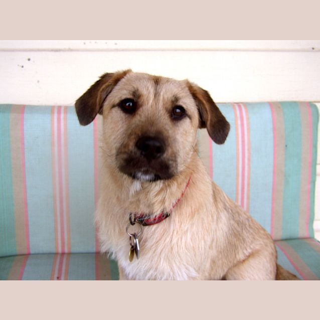 Photo of Sandy (On Trial)