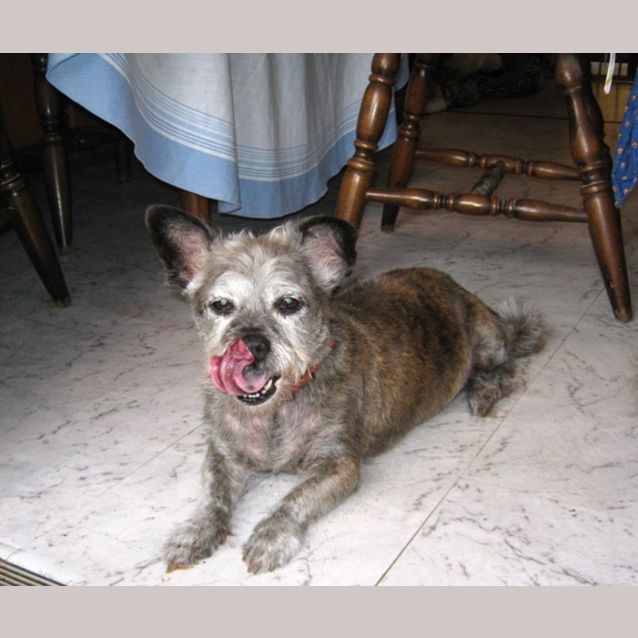 Photo of Mimi