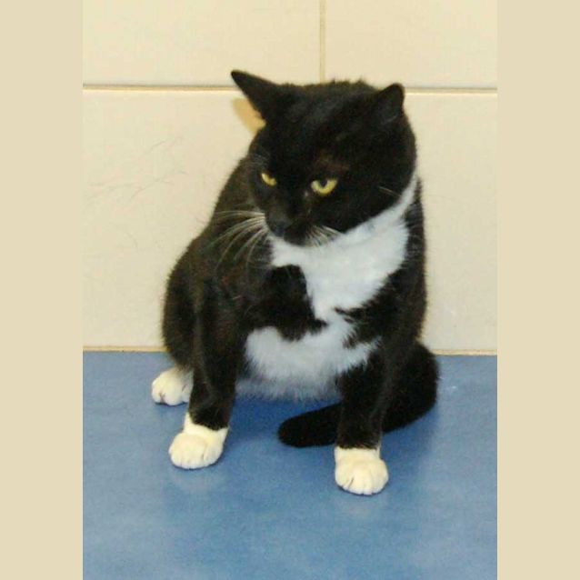 Photo of Ikarter