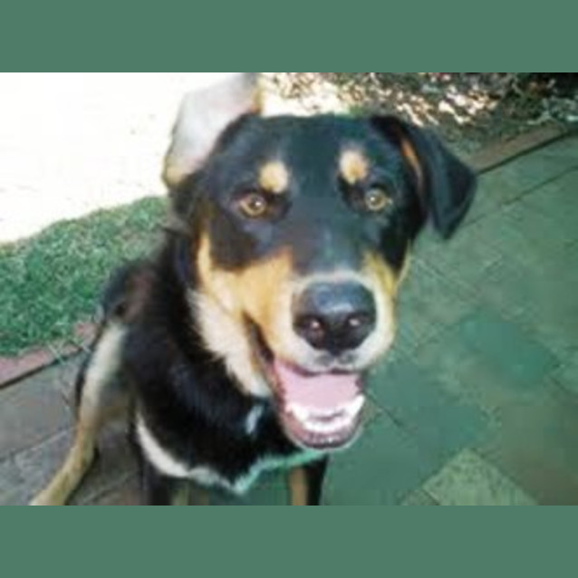 Photo of Jasper