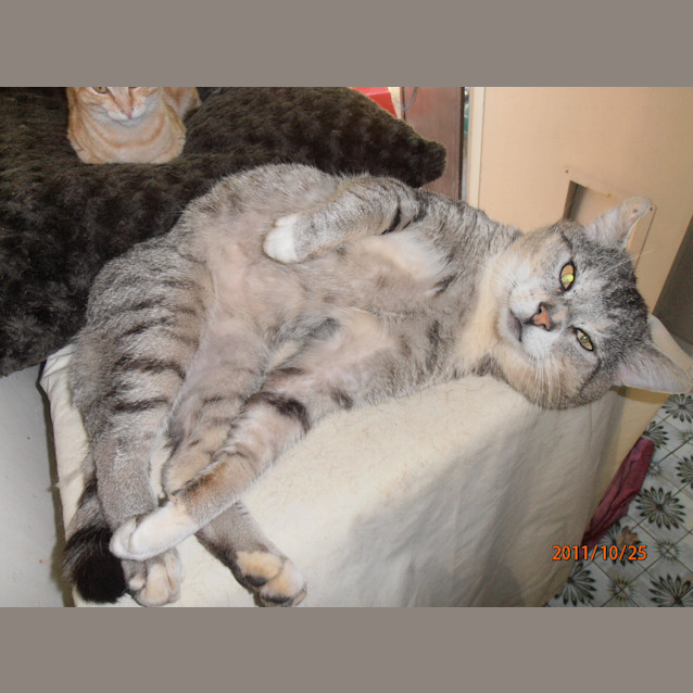 Photo of Alvin