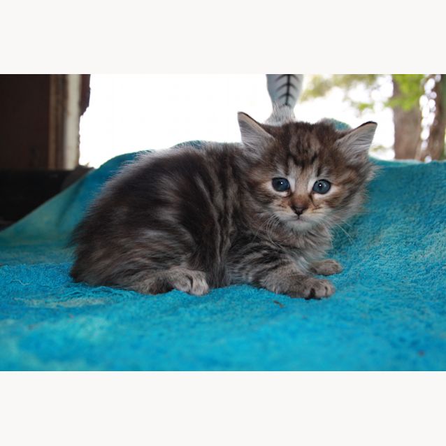 Photo of Milton