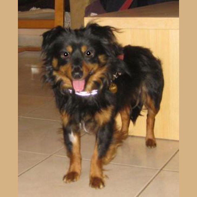 Photo of Jasper