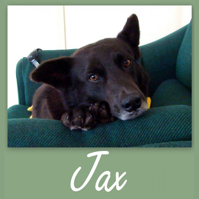 Photo of Jax (On Trial)