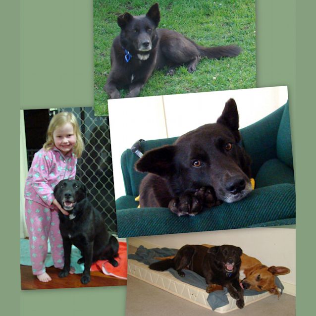 Photo of Jax (On Trial)