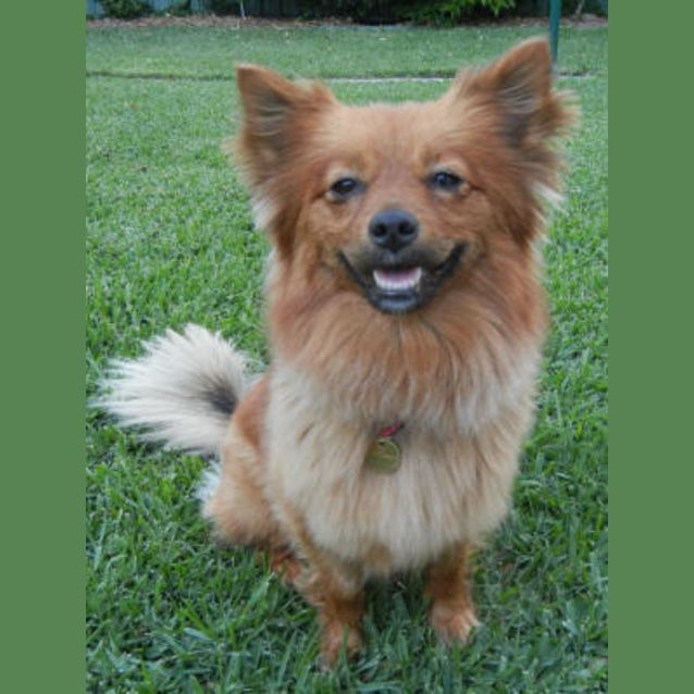 Photo of Tequila