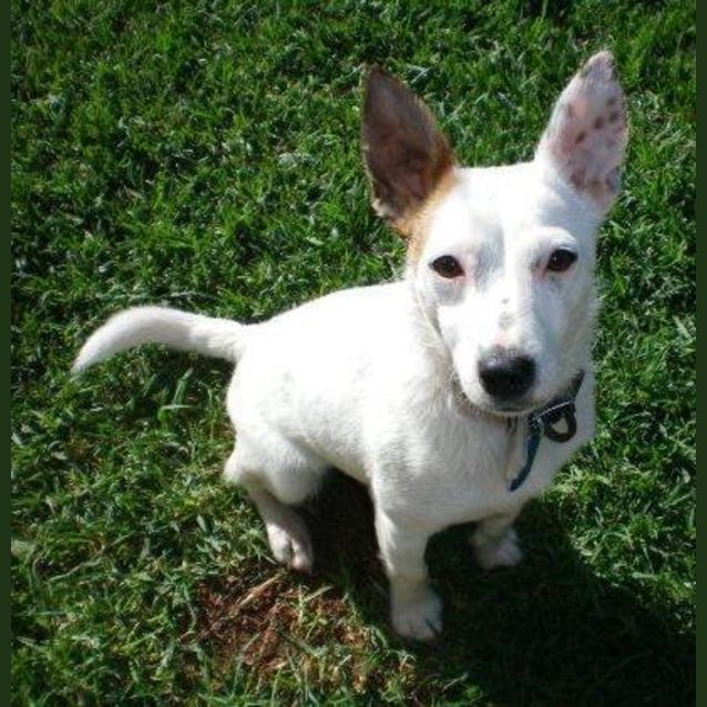 Photo of Logan *On Trial*