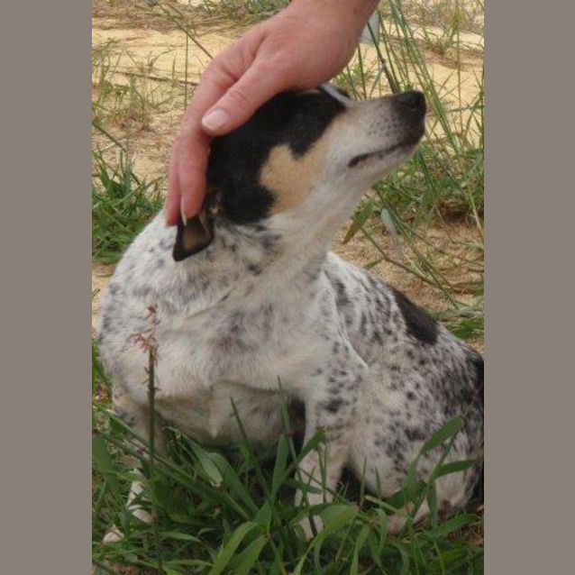 Photo of Tiny Tu Blue